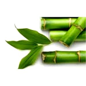 Home & Clean Pro aroma bamboo