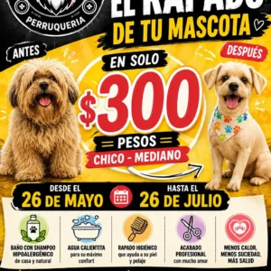 logo perruquería