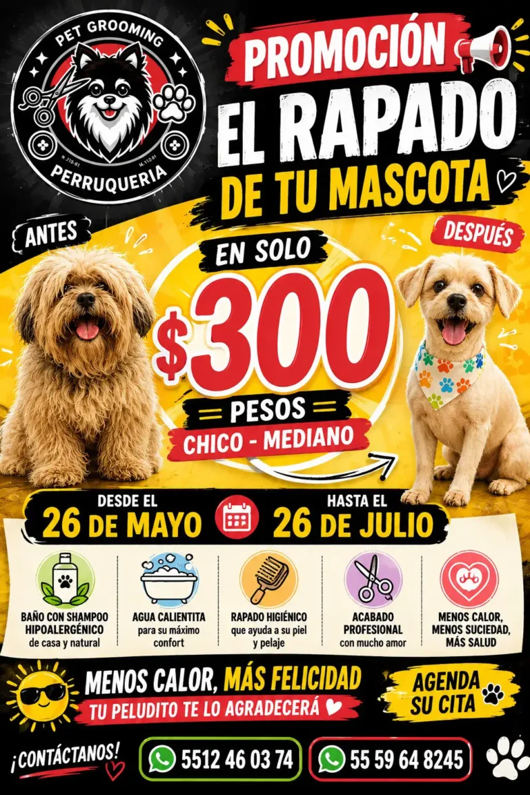 logo perruquería