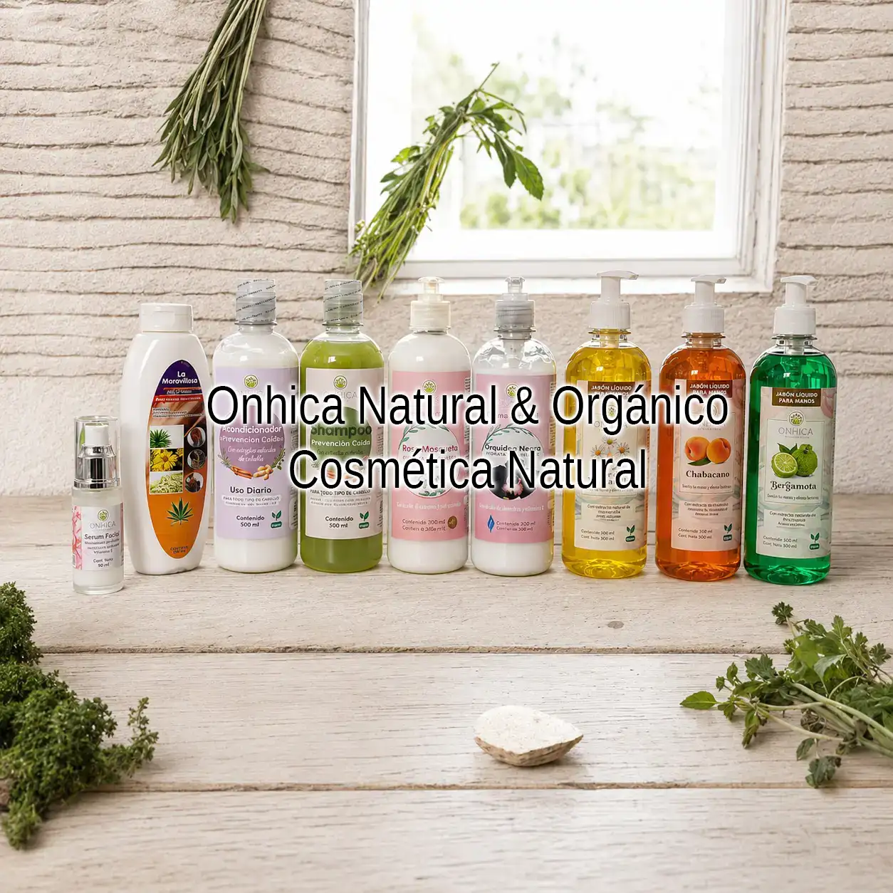 Onhica