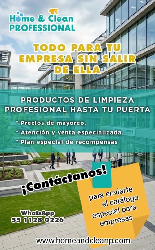 promo home and clean professional