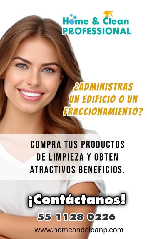 promo home and clean professional