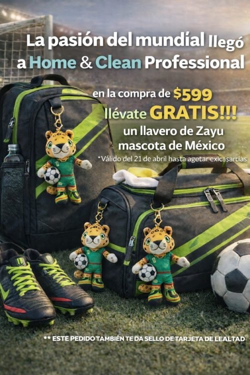 promo home and clean professional