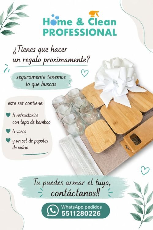 promo home and clean professional